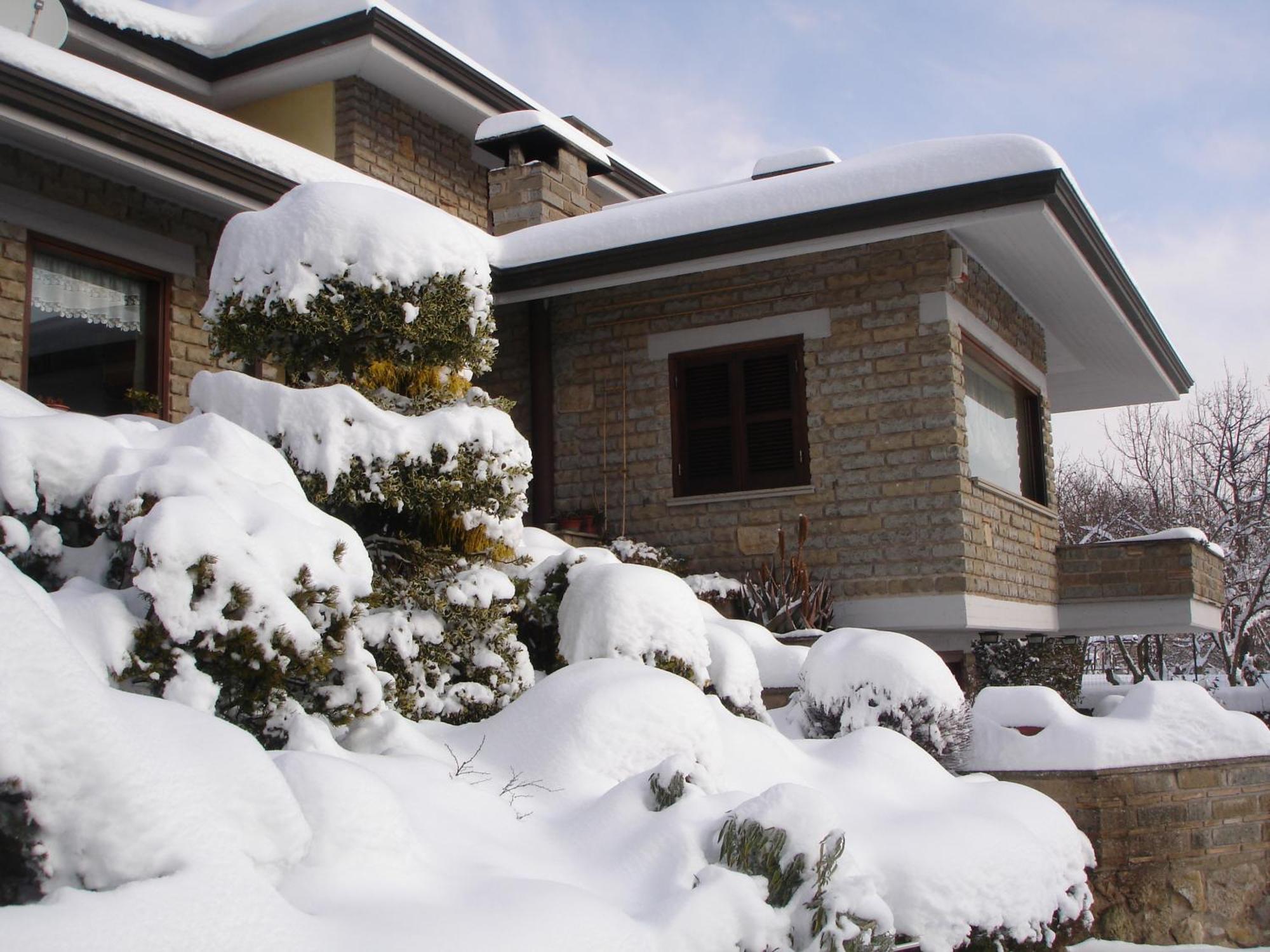 B&B Le Palme Bassano Romano 外观 照片