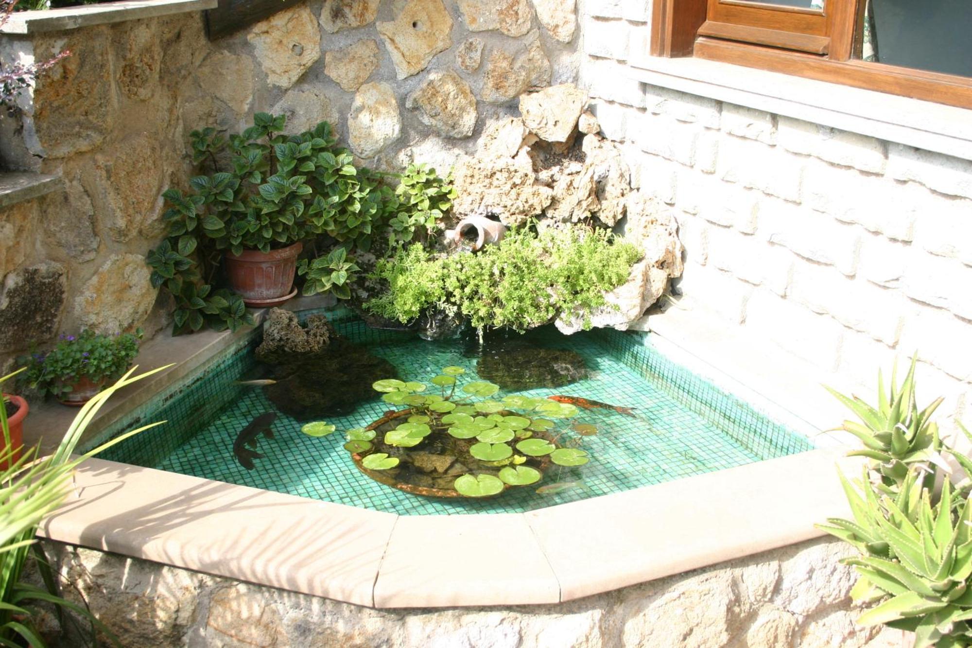 B&B Le Palme Bassano Romano 外观 照片